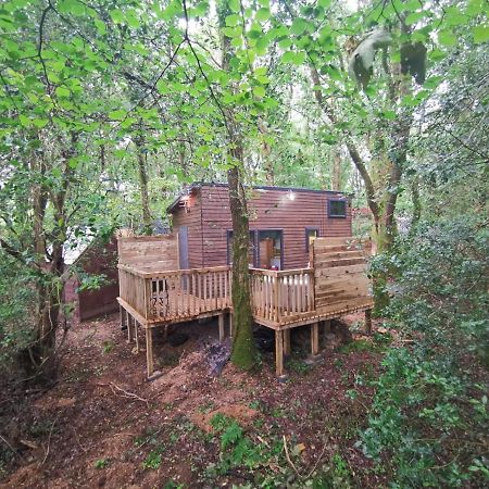 Tiny House-Hot Tub-St Clears-Pembrokeshire-Tenby Carmarthen Exterior photo