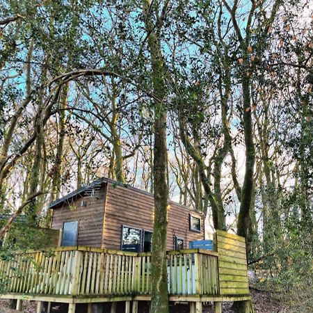 Tiny House-Hot Tub-St Clears-Pembrokeshire-Tenby Carmarthen Exterior photo