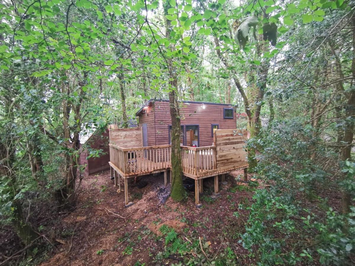 Tiny House-Hot Tub-St Clears-Pembrokeshire-Tenby Carmarthen Exterior photo