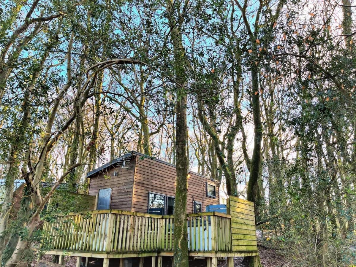 Tiny House-Hot Tub-St Clears-Pembrokeshire-Tenby Carmarthen Exterior photo